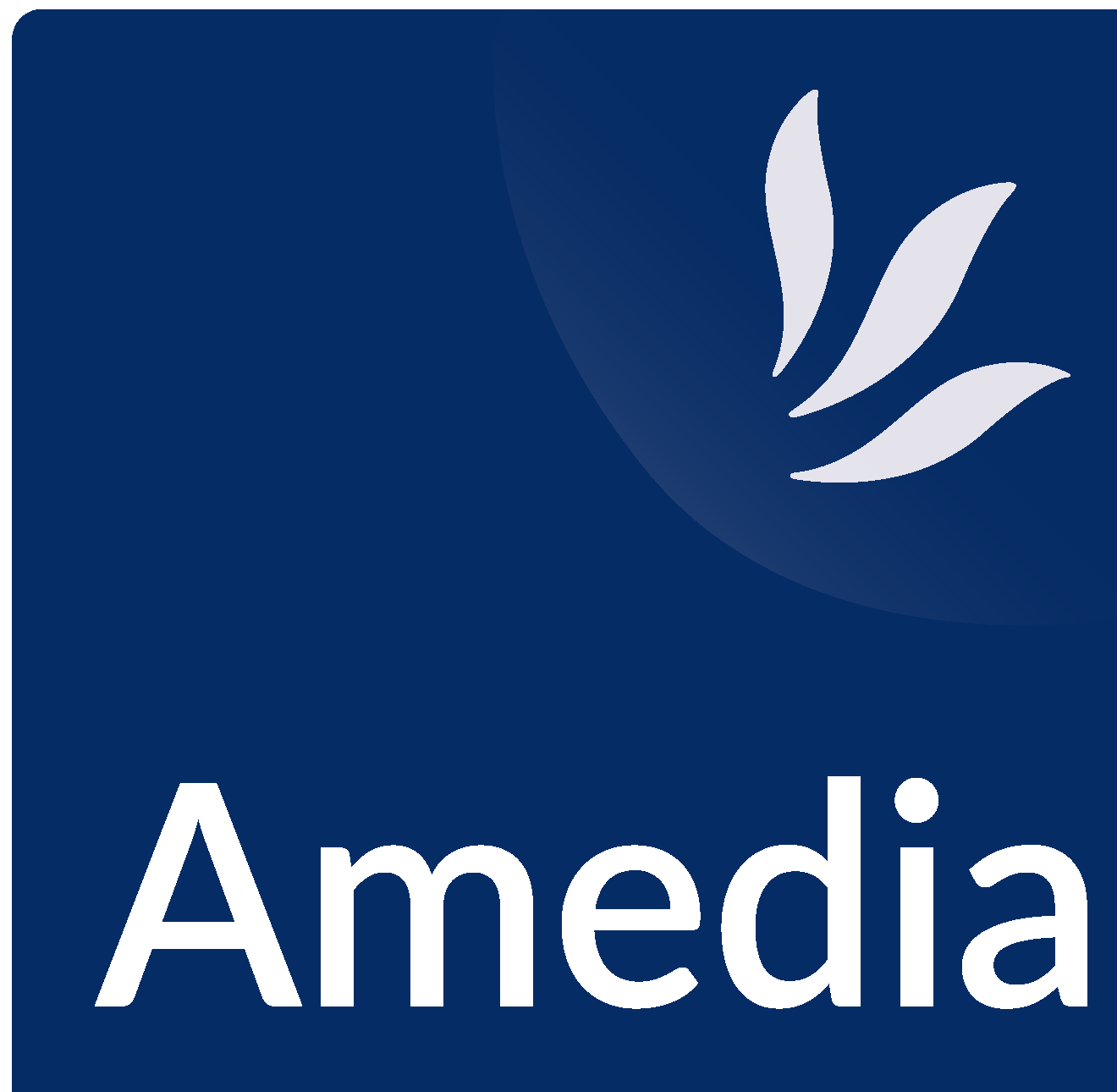 Amedia Group